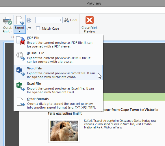 Export to Excel, Word and XHTML from the Preview Window