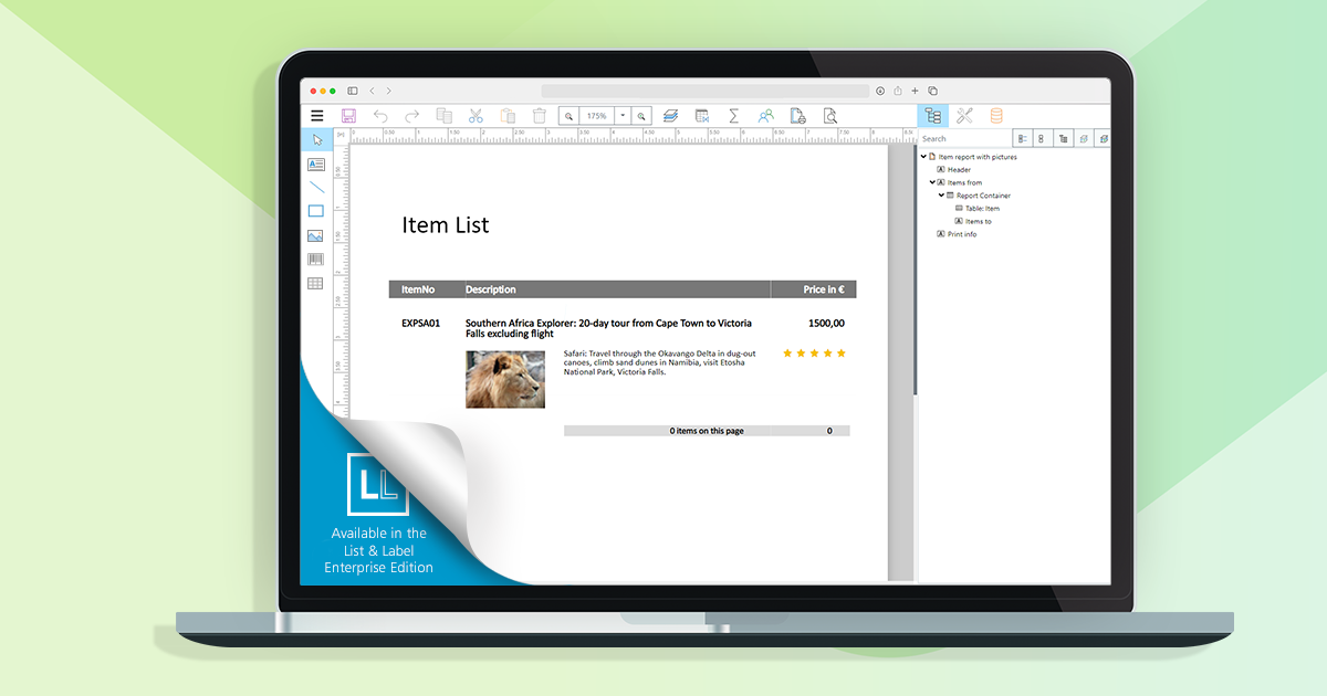 New Features for the Web Report Designer in List & Label 27.002