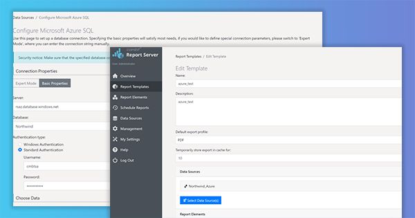Wie Sie den Report Server auf einer Azure-Container-Instanz bereitstellen und über eine Azure-Funktion verwenden